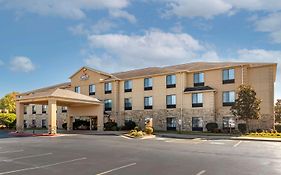 Comfort Inn & Suites Russellville I-40